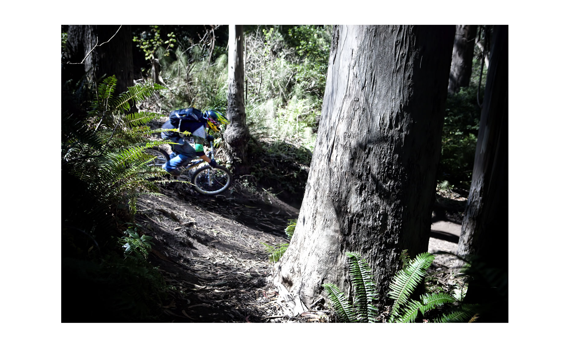 Mountain Biking | Neil Fraser Photography | Neil Fraser Photographer