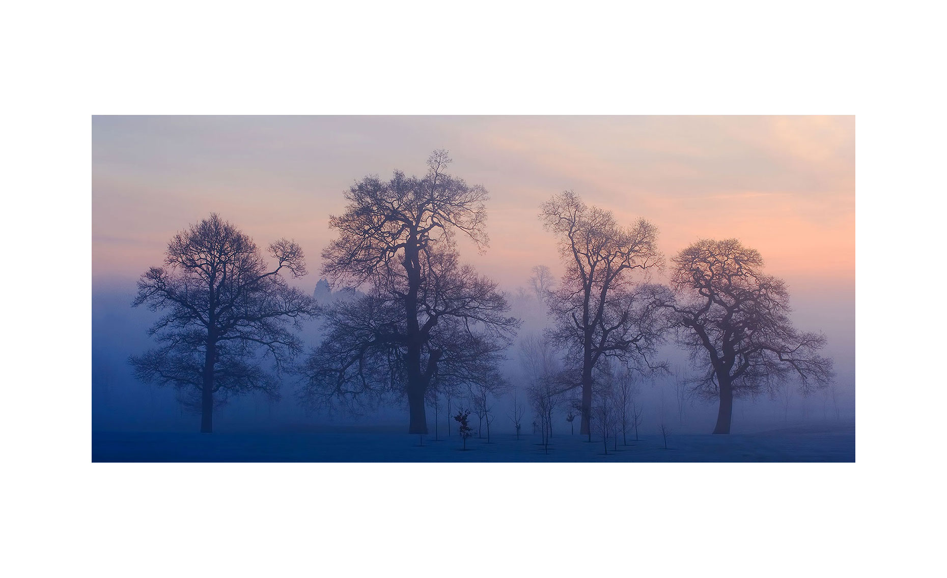 Frosty Sunrise | Neil Fraser Photography | Neil Fraser Photographer