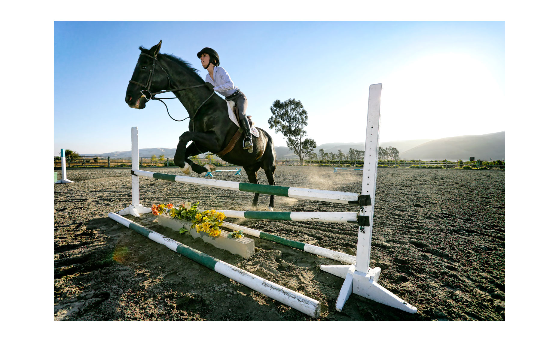 Show Jumping | Neil Fraser Photography | Neil Fraser Photographer